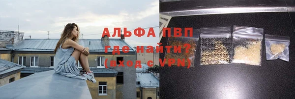 стафф Алексин