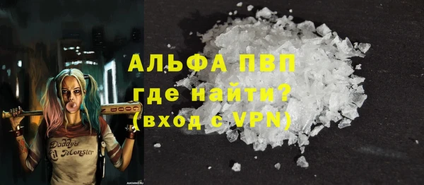 стафф Алексин