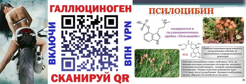 Псилоцибиновые грибы MAGIC MUSHROOMS хочу Заполярный